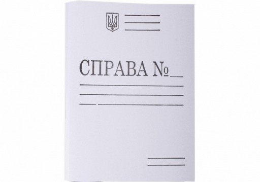 Швидкозшивач картонний А4 Economix 0.35 (СПРАВА)